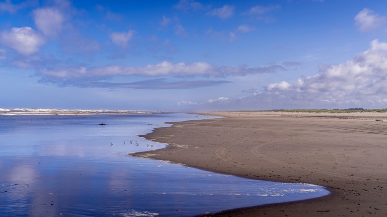 Long Beach, Washington