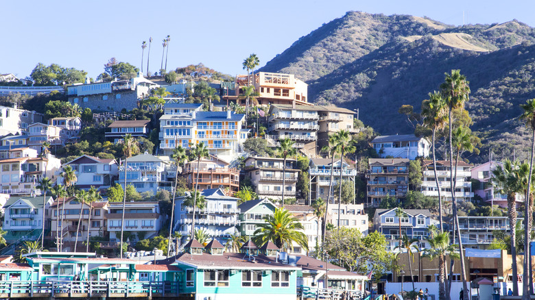 Avalon on Catalina Island