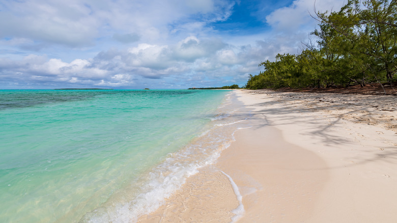 coco plum beach