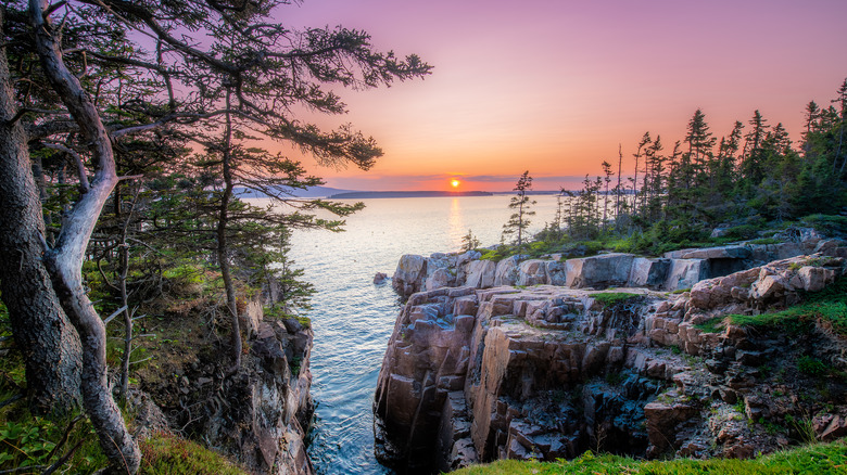 Acadia National Park in summer