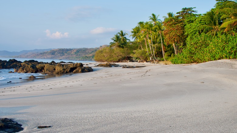 Montezuma Beach in Costa Rica