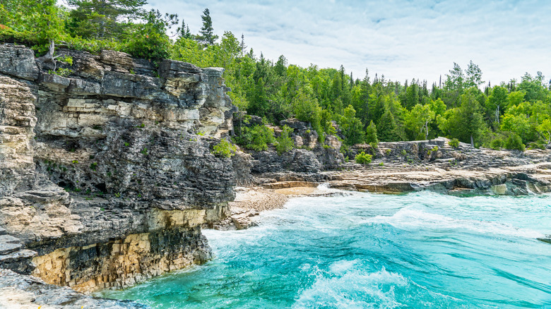 blue water cliffside forest bruce peninsula