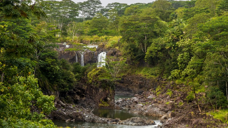 Boiling Pots in Hilo, Hawaii