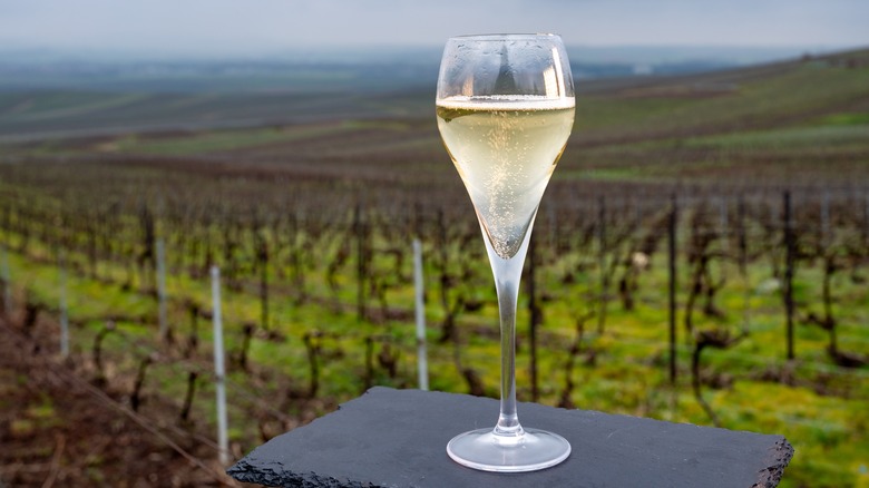 Champagne and vineyard in Reims, France