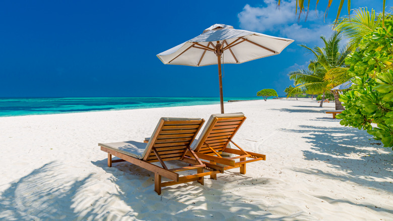 lounge chairs on tropical beach