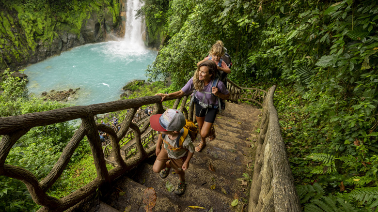 family climbing rainforest stairs