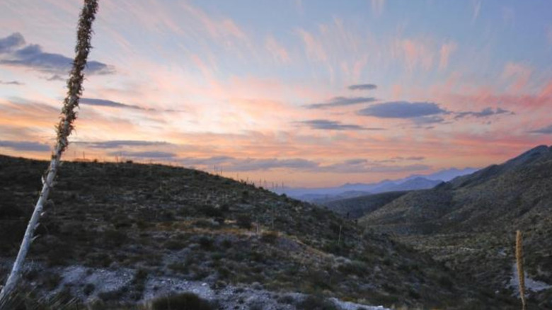 Frankling Mountains State Park