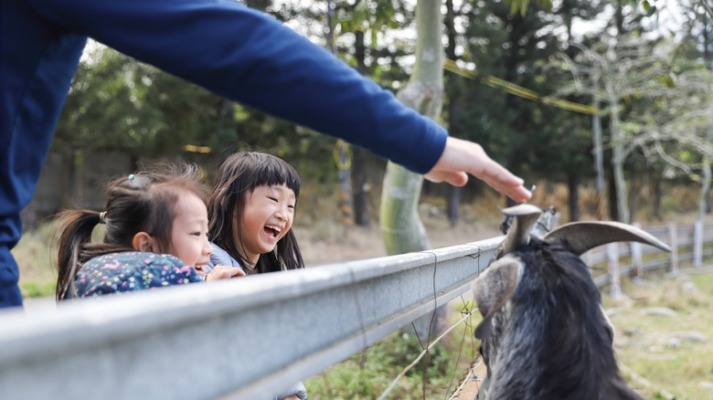 Family at the zoo 