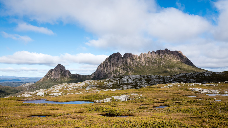 cradle mountain tasmania