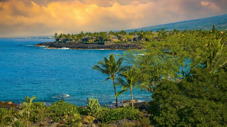 Big Island coast line