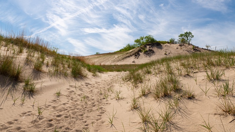 Climb the dunes at Warren Dunes State Park