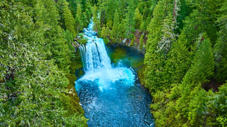 Koosha Falls on the McKenzie River