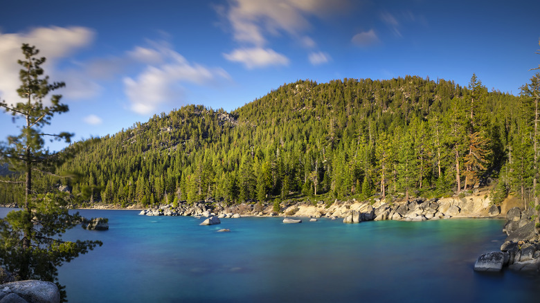 Whale Beach at Lake Tahoe