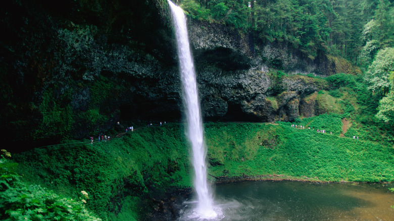 waterfall at Silver Falls State Park