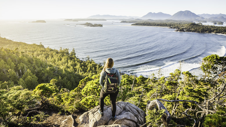 Person overlooking Tofino shoreline