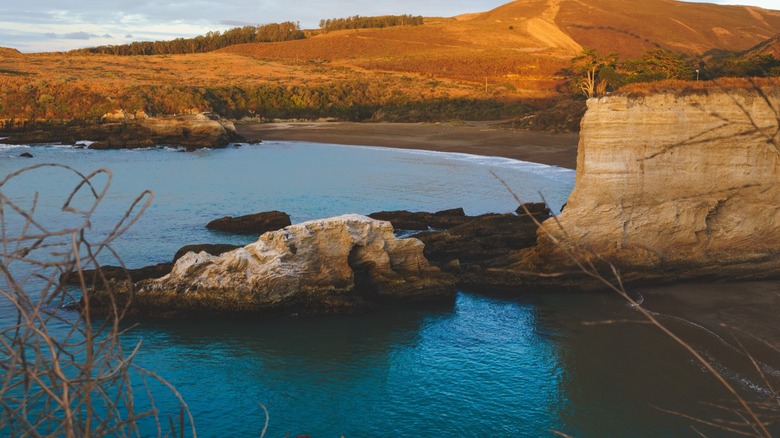 bluff overlooking California beach