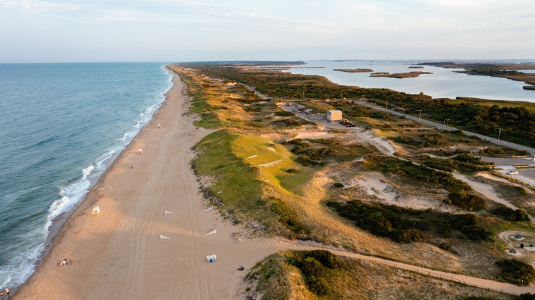 view of sandbridge beach