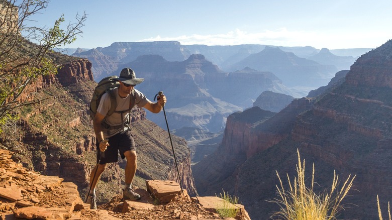 man hiker walking sticks grand canyon