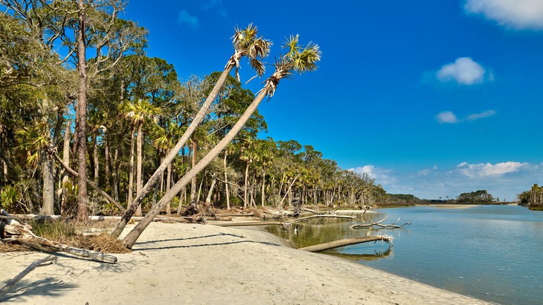 South Carolina beach island