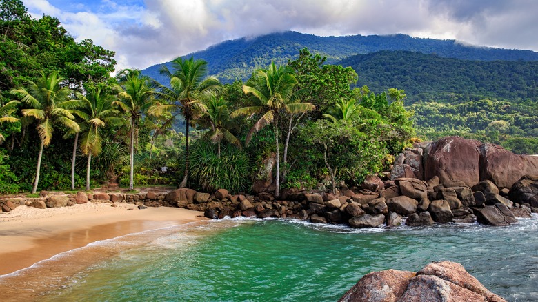 Ubatuba mountain view beach Brazil