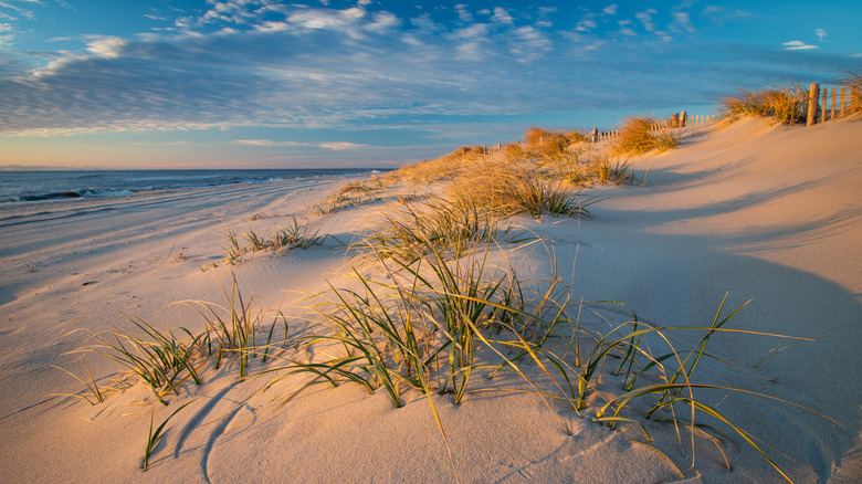 Blue skies and beach dunes