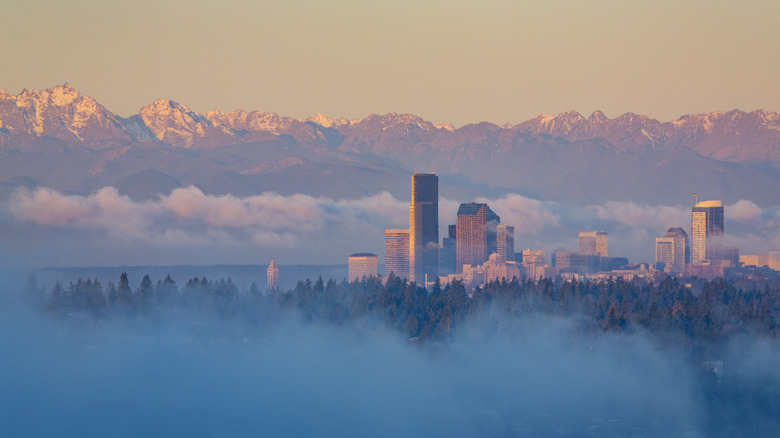 Seattle, Washington skyline 