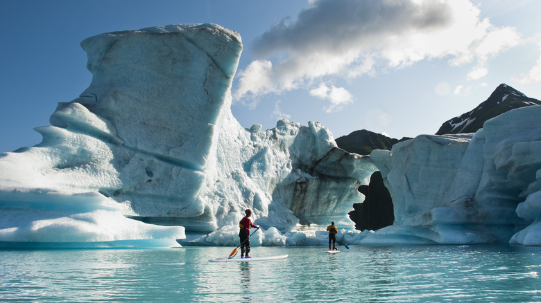 Kenai Fjords National Park iceberg