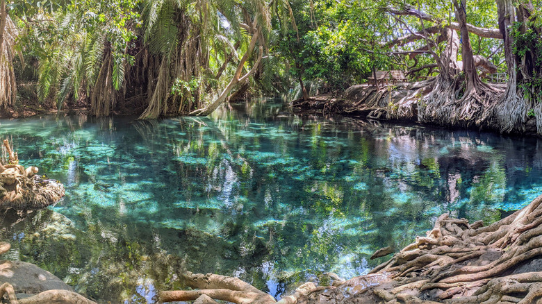 Pool at Kikuletwa Hot Springs