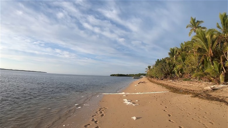 beach at Likuri Island Resort