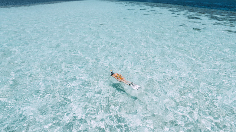 Woman snorkeling in ocean