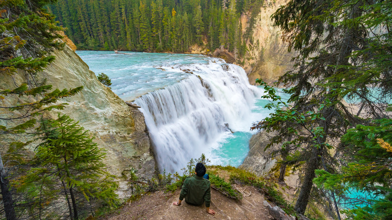 Wapta Falls