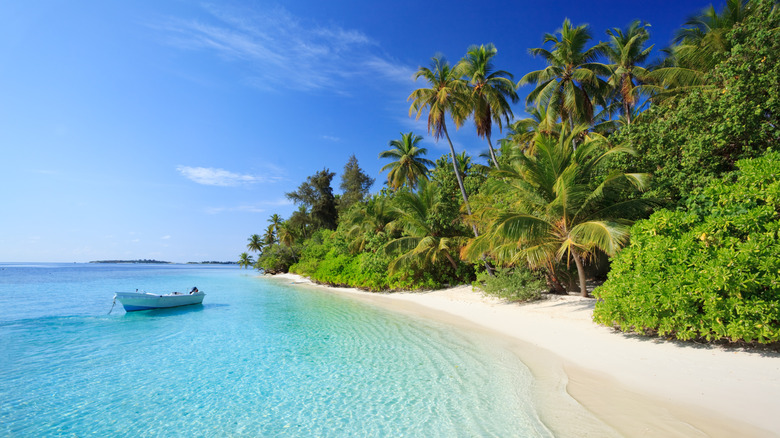 boat off Maldives beach