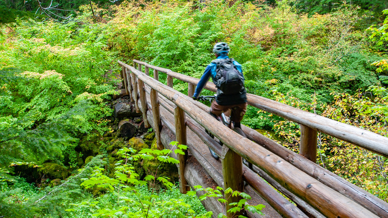 Biking Oregon's Mckenzie River Trail