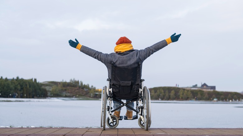 celebrating wheelchair lake shore