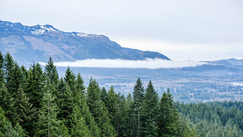 view from Wallace Falls