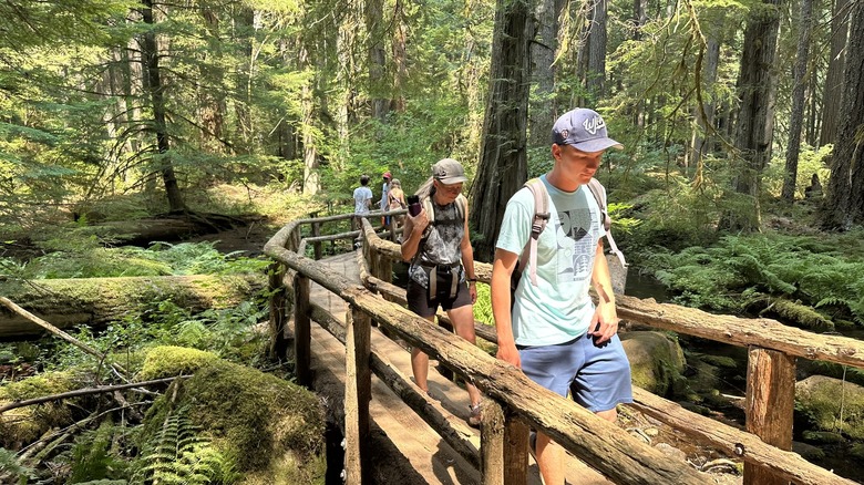 Hikers on the McKenzie River Trail