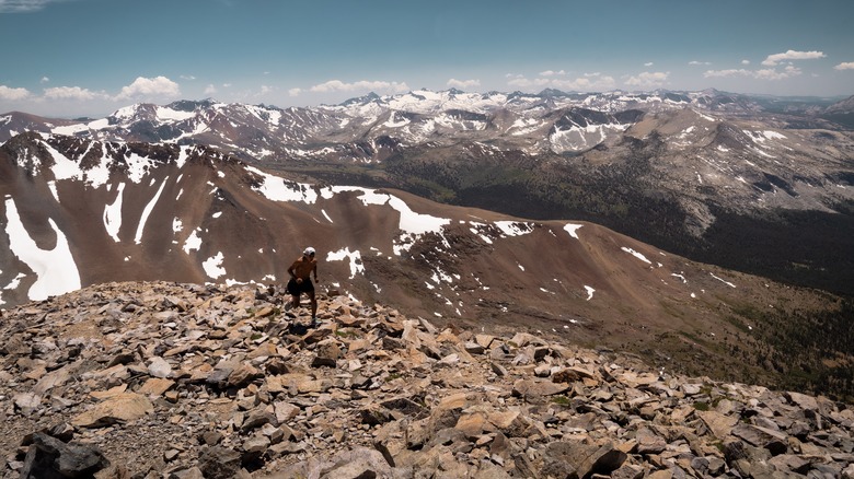 Mount Dana summit 