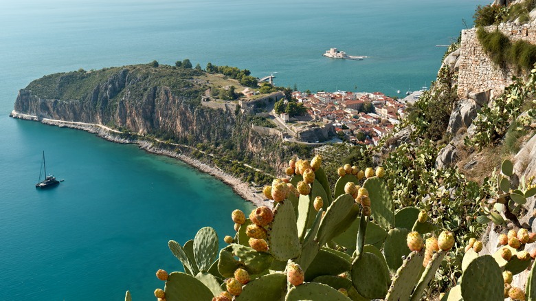 Nafplio from above