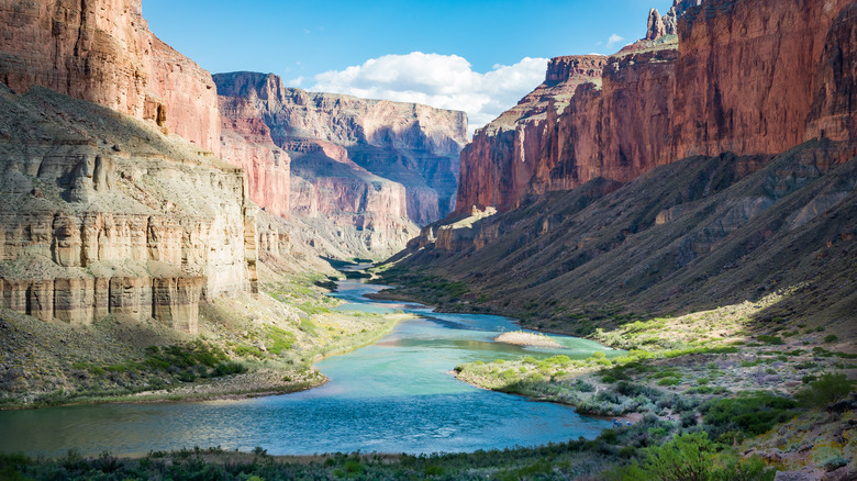 Grand Canyon's Nankoweap Trail