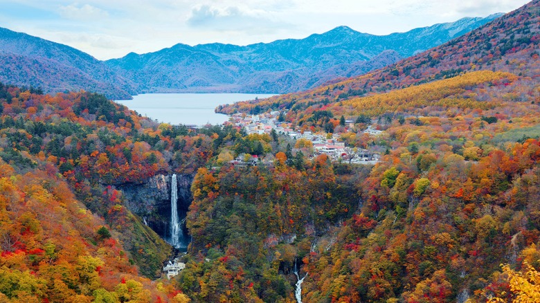 Aerial of Nikko National Park