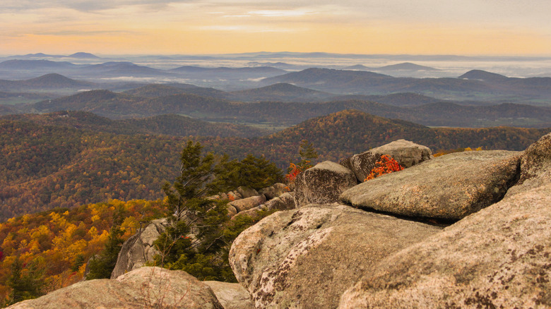 Olg Rag Mountain in fall