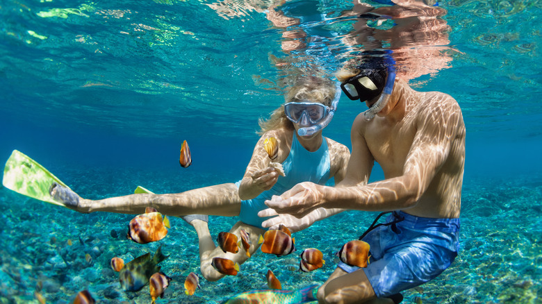 Couple snorkeling 