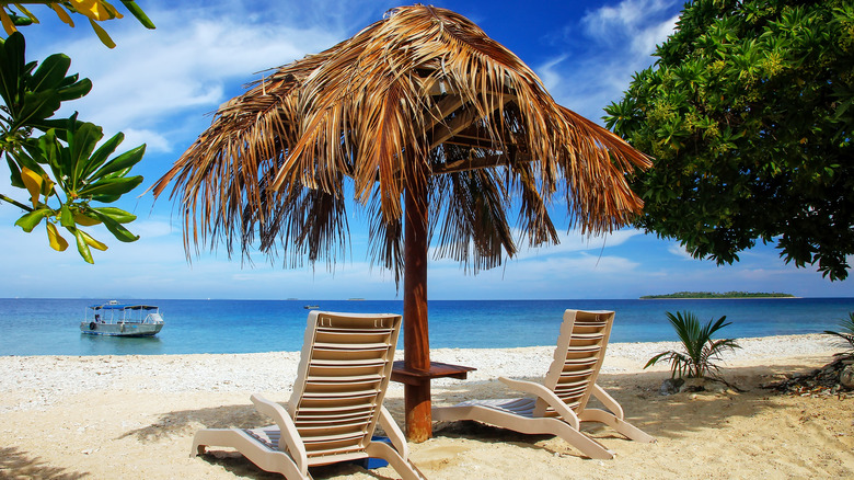 A beautiful beach in Fiji