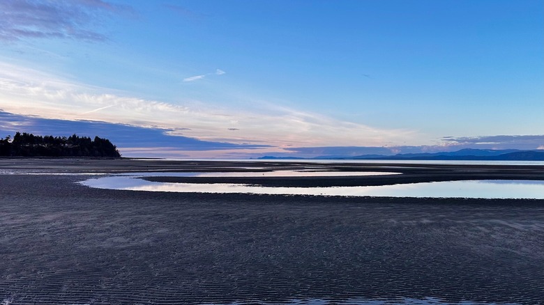 Parksville Beach at low tide