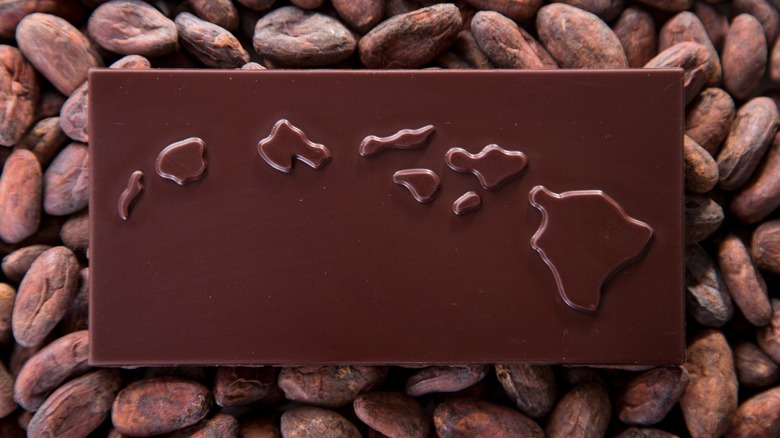 islands on a chocolate bar on top of cacao beans