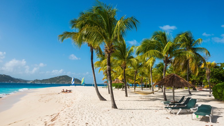 A beach on Palm Island