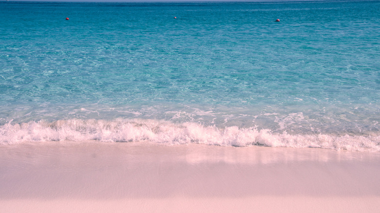 pink sand beach