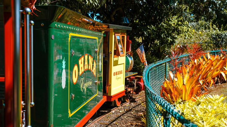 Train ride at Dole Plantation