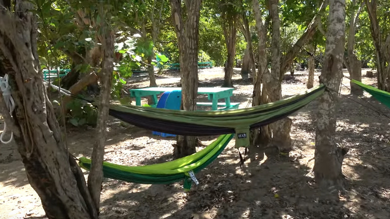 Hammock near Flamenco Beach