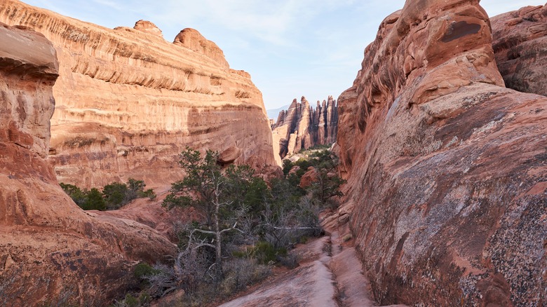 Primitive Trail in Arches park